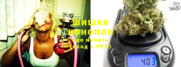 твердый Новокубанск