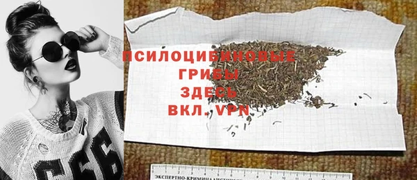 твердый Новокубанск