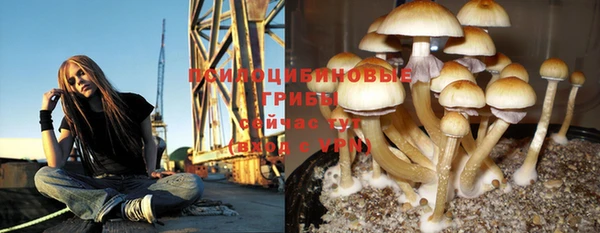 твердый Новокубанск