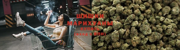 твердый Новокубанск
